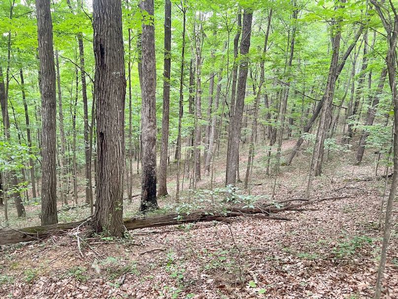 Braxton, WV 46 AC Cooper-72