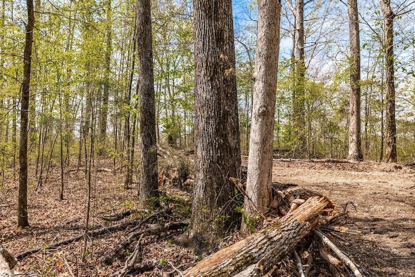 55-web-or-mls-0 Mound Creek Rd-25