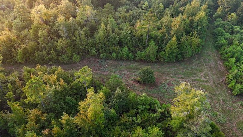 Madison Co - 40 - Clerk-11