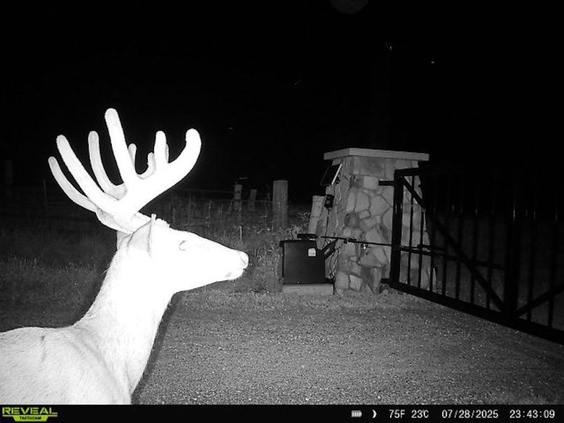 864049056573027-100-3-07282025234308-W1006534