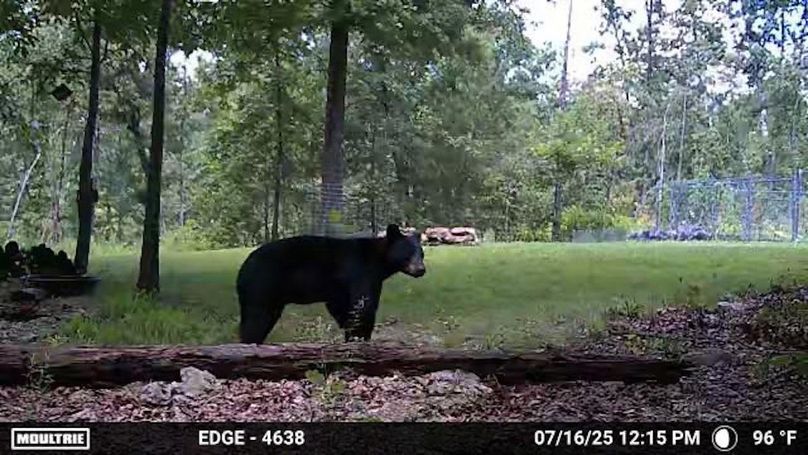 Temp_1498388-20250716171620-100MFCAM_MFDC0738