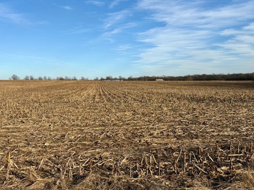 Copy of IMG_7201 Large