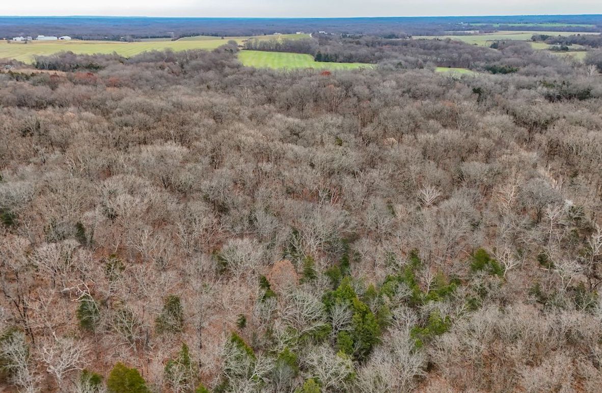 Copy of DJI_20251129134054_0033_D