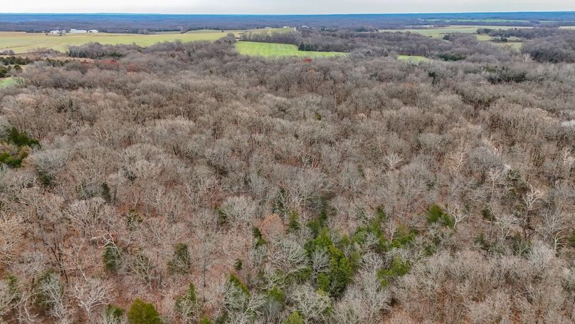 Copy of DJI_20251129134054_0033_D