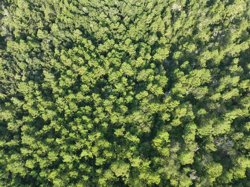 dji_fly_20230813_083800_532_1691930575720_photo