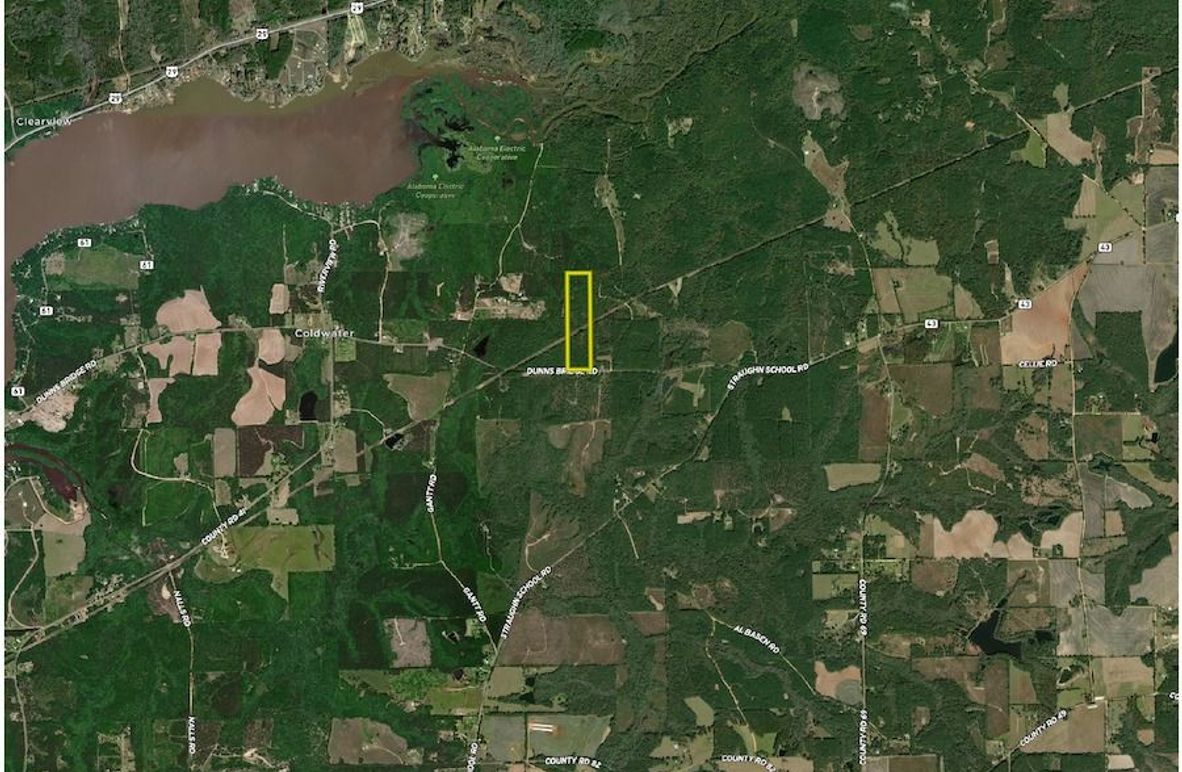 Aerial #2 - 38 Acres Covington County, AL-page-0