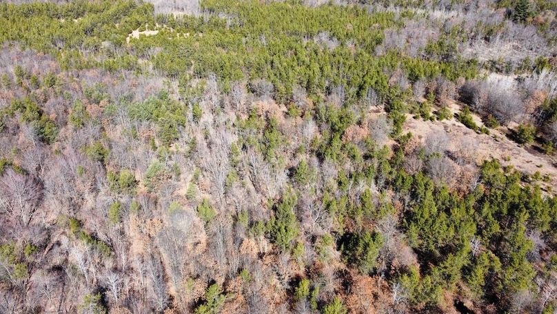 dji_fly_20240306_110252_34_1709744815087_photo_optimized