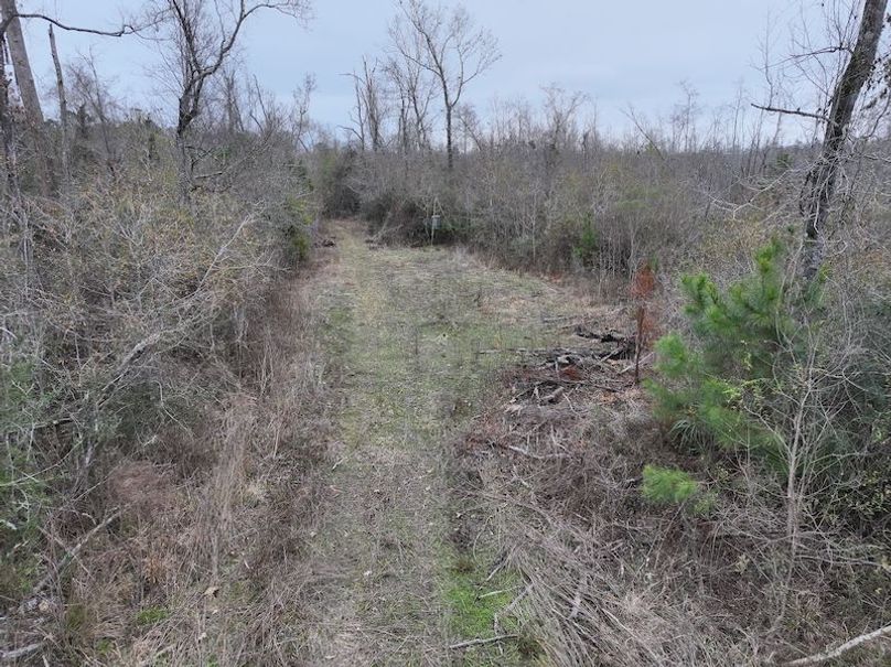 dji_fly_20260123_120720_0921_1769444785341_photo