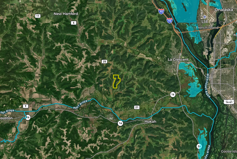 Screen Shot 2022-10-10 at 10.30.54 AM