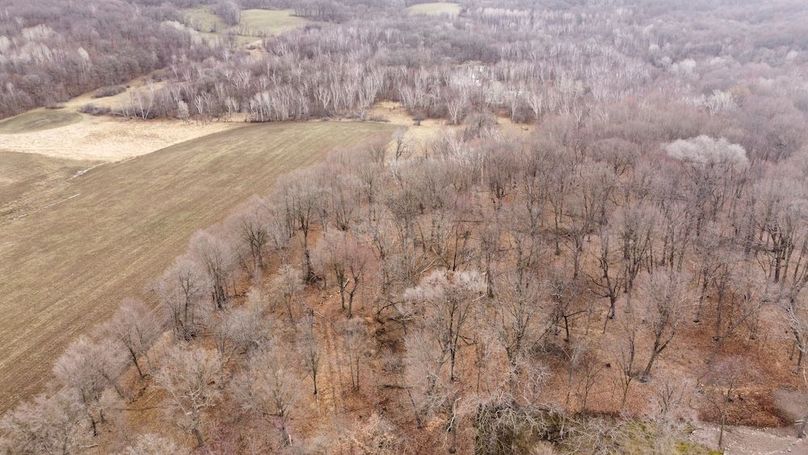 dji_fly_20240410_085620_272_1712757723261_photo_optimized