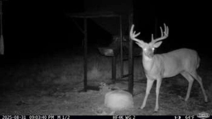 654208714249549d951f660d6b11dc33-small