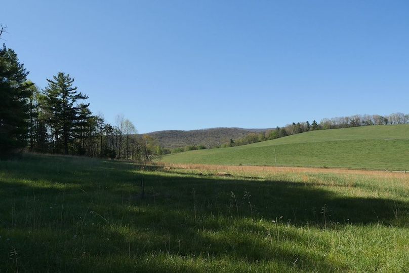 1b