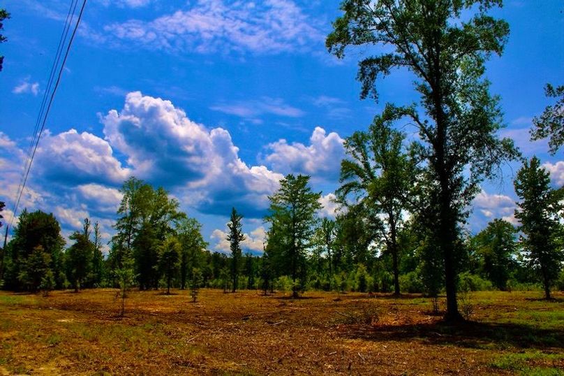 95DE4475-3C1A-4CED-885C-8102B15AB468_1_105_c