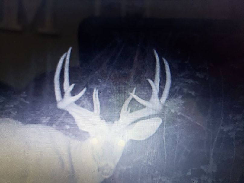Sauk 174 Trailcam - 67