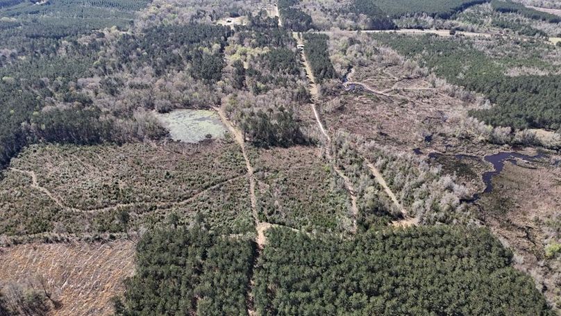 DJI_20260318002105_0127_D