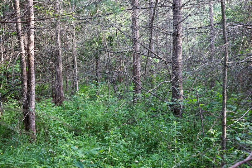 Mackinac20Fewins-6061