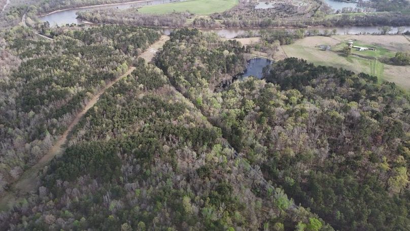 DJI_20260311235858_0064_D