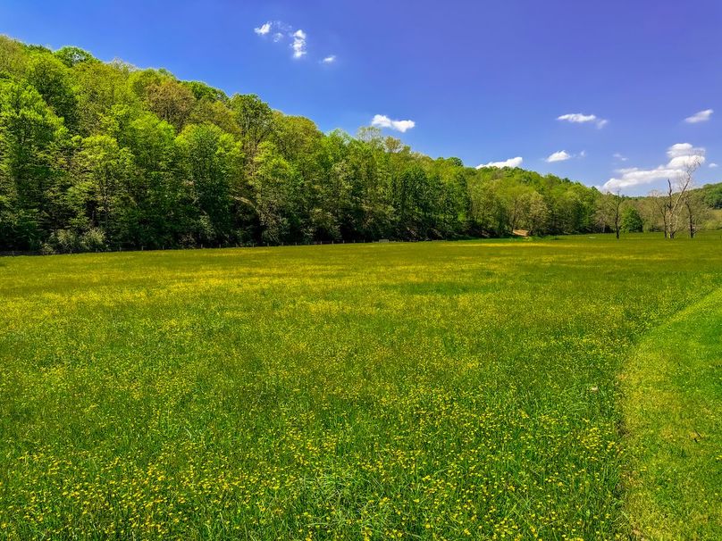 Tyler, WV 161.03 AC Fitzsimmons-049