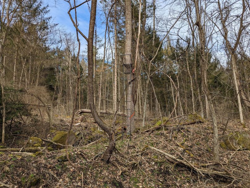 PXL_20230213_170025450