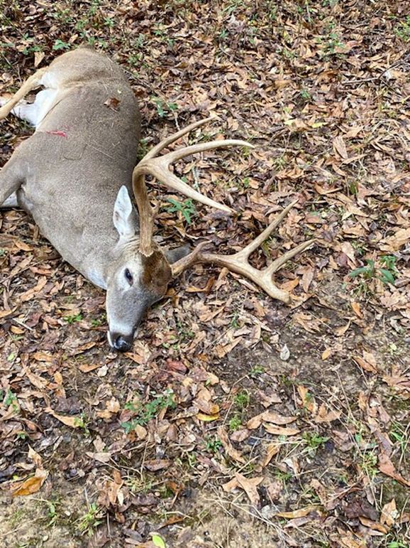 Holmes County - 108 - Rodriguez-29