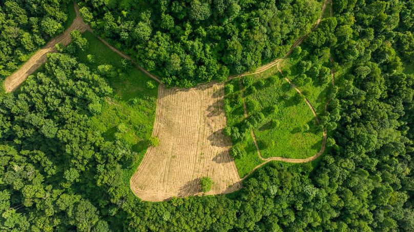 Lewis WV 150 Featured_ProPhoto-116