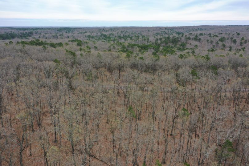DJI_0077