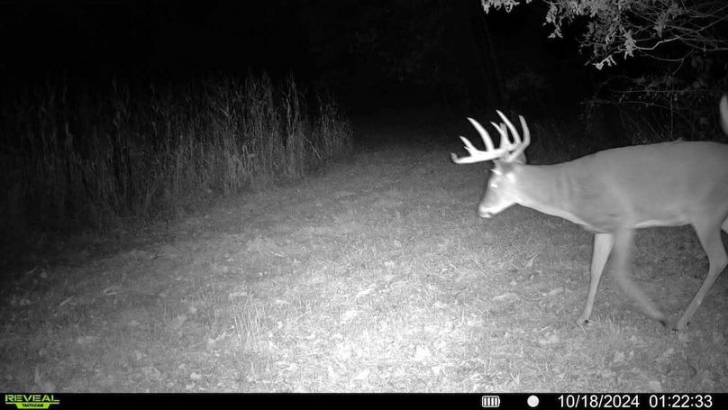 Sauk 174 Trailcam - 8