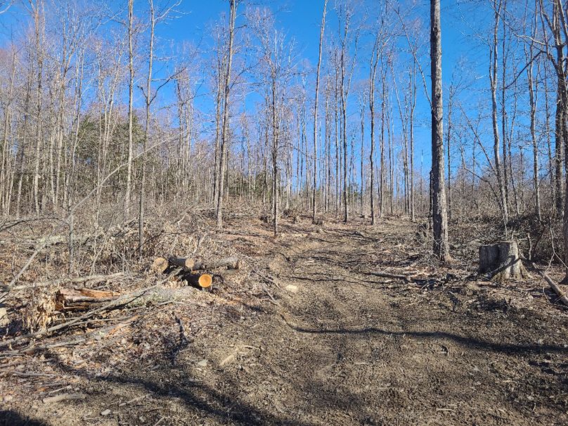 photo_2710a641-c470-40f5-81af-6ceb2f689c6b