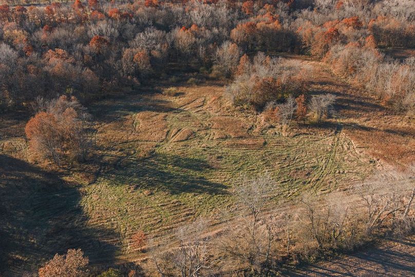 DJI_20251116081930_0082_D