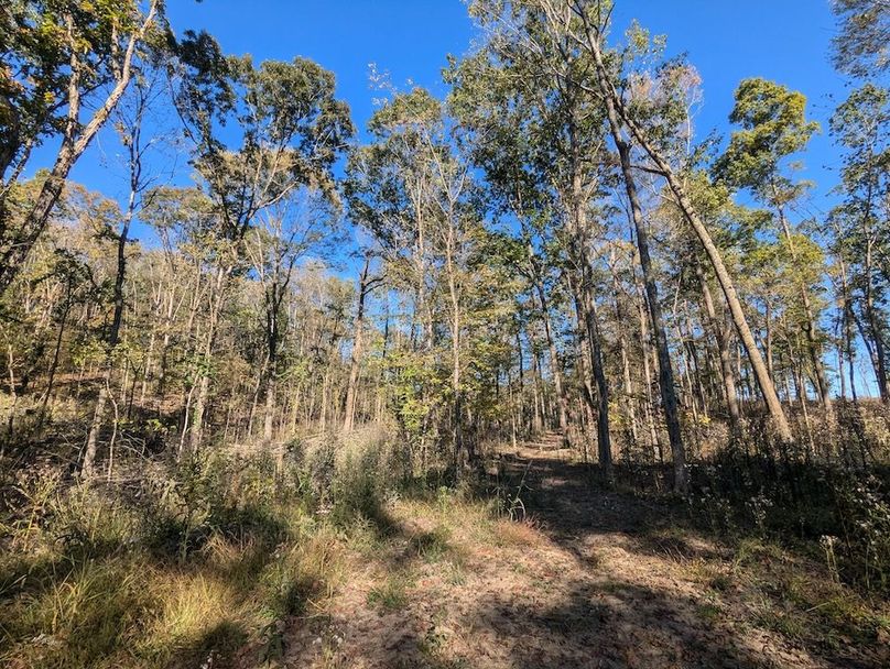 PXL_20251001_204407276