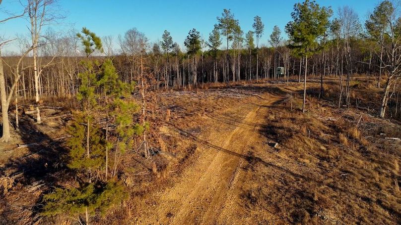 DRONE.00_17_35_20.Still042