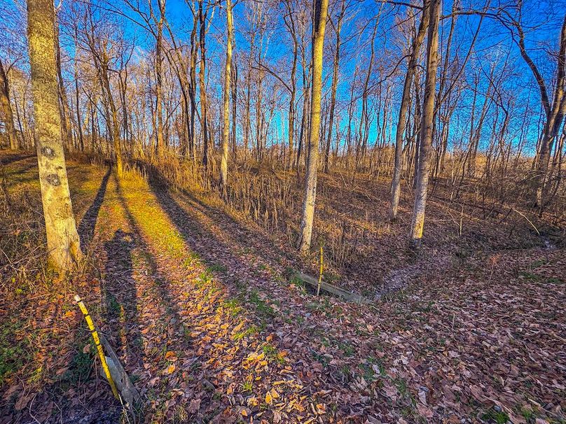 Pleasants_Wood 169.97 AC Cokeley-49