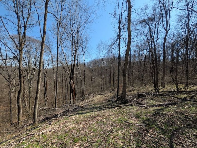 PXL_20260326_170614204.MP