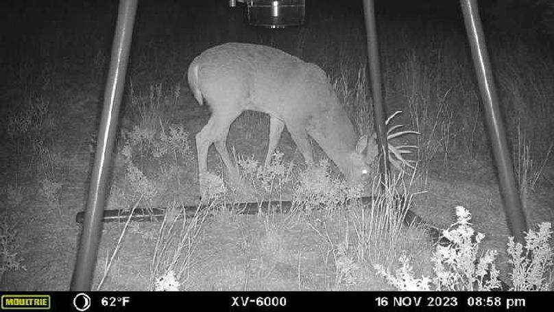 image638376312225034053