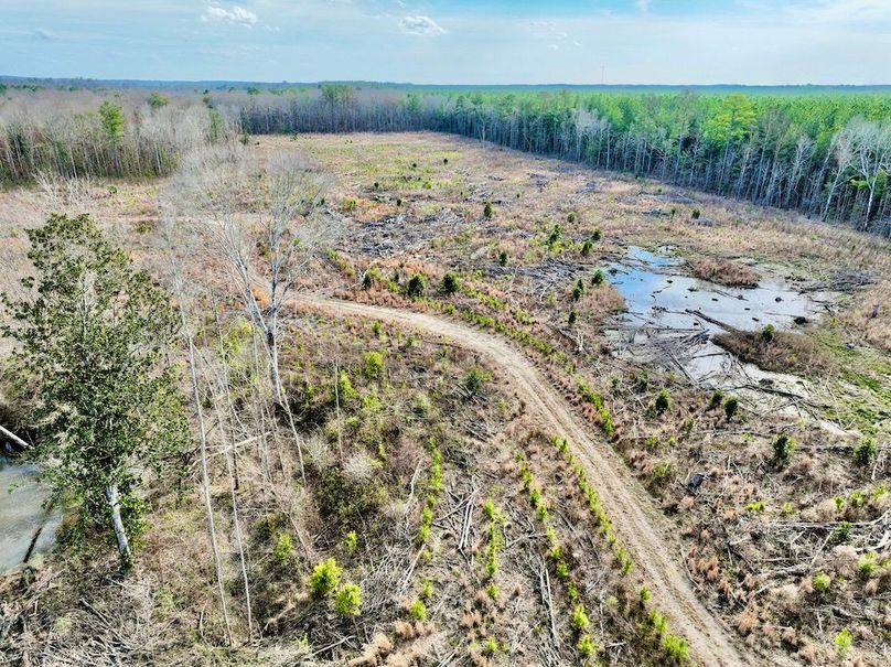 D072955A-0252-4C5D-AB06-E709346E660C_1_201_a