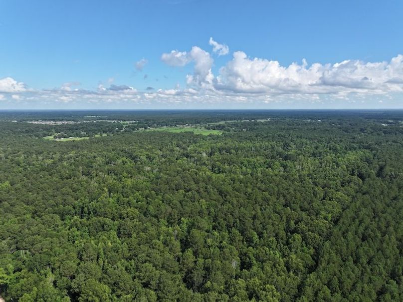 dji_fly_20250624_100432_0133_1750950817271_photo