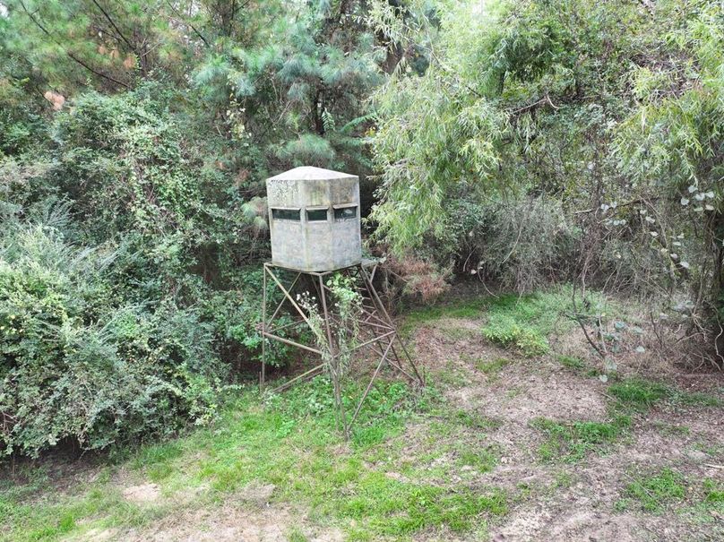 dji_fly_20250924_090616_0500_1758726298541_photo