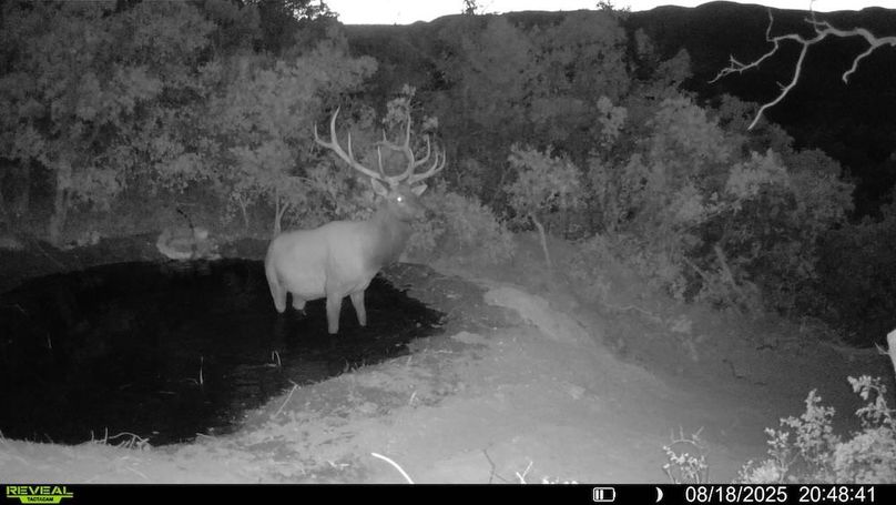 016578004083249-39-2-08182025204841-V-SYFW00042