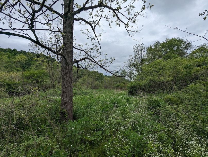 PXL_20240515_154418512