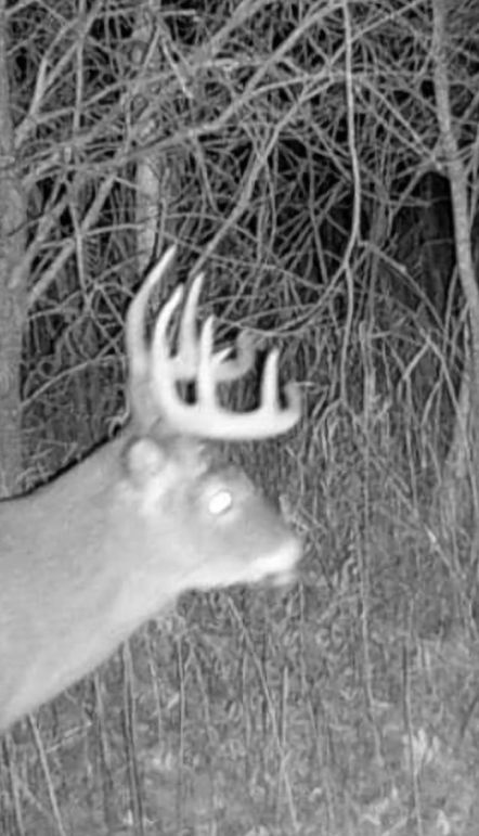 Screenshot_20220725-184455_Gallery