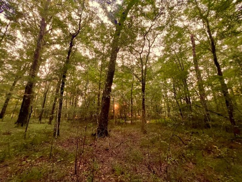 350F19A1-E12B-4825-A530-E0C102A47350_1_105_c