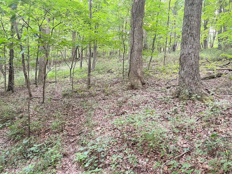 Braxton, WV 46 AC Cooper-75