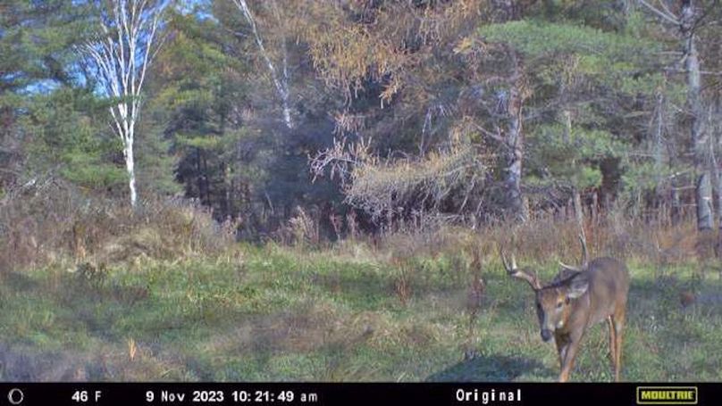 Temp_709138-20231109162219-09_11_2023_162149_254