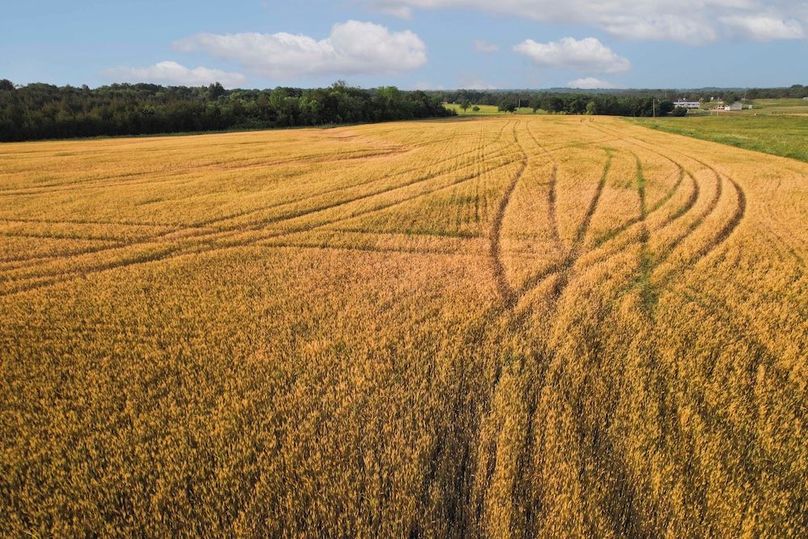 Lamar County- 92.66 Acres (22 of 29)