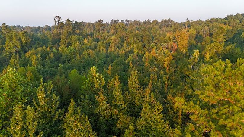 Madison Co - 40 - Clerk-25