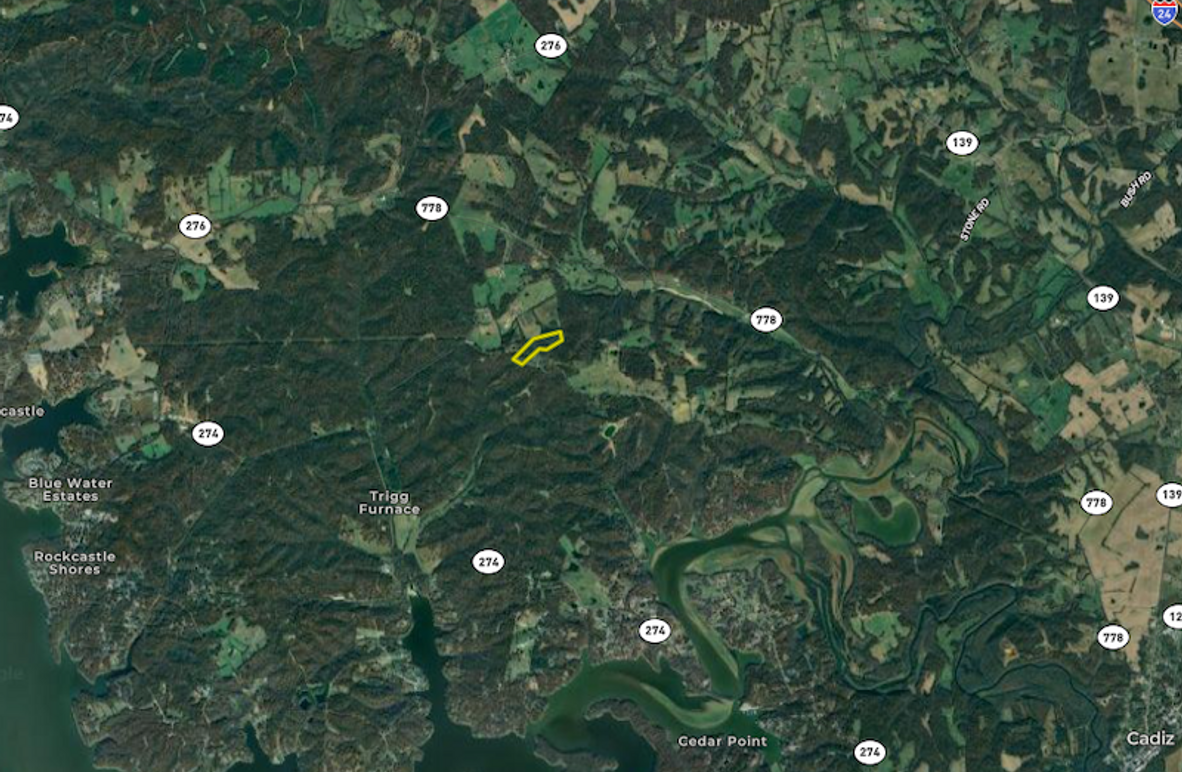 Screenshot 2025-08-14 at 8.04.36 AM