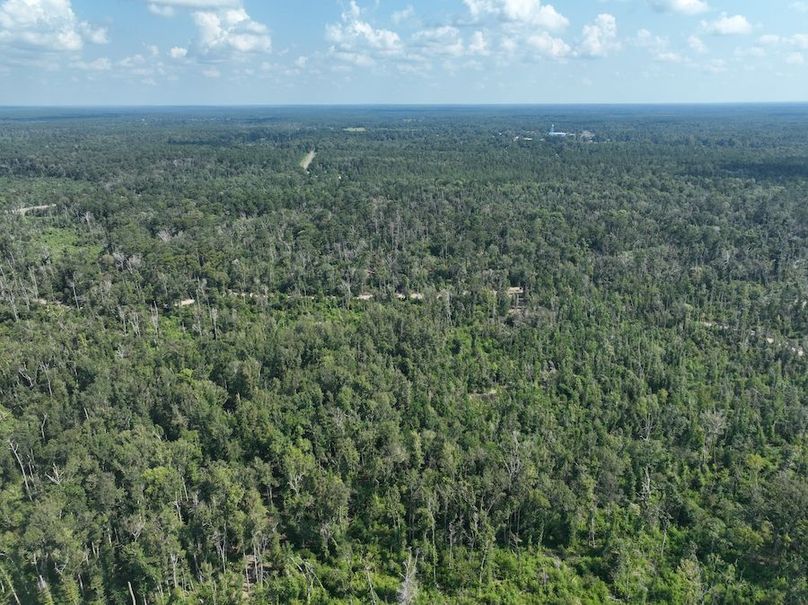 dji_fly_20240814_114532_756_1723676241448_photo
