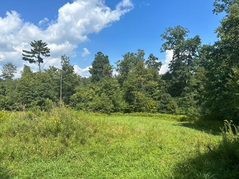 A3AE354E-66F0-45D8-A08E-FBF710B5543B_1_105_c