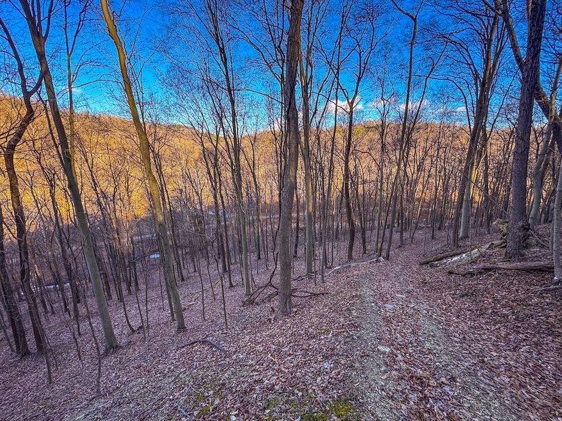 Pleasants, WV 81 AC Barron-20