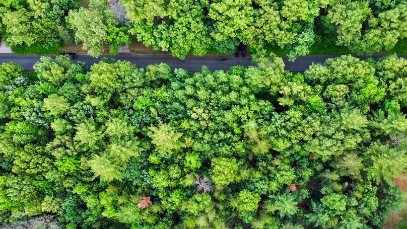 dji_fly_20250624_195614_894_1750813781594_photo_optimized 2